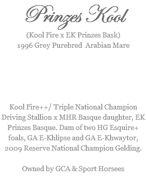 Prinzes Kool
(Kool Fire x EK Prinzes Bask)
1996 Grey Purebred Arabian Mare Kool Fire++/ Triple National Champion Driving Stallion x MHR Basque daughter, EK Prinzes Basque. Dam of two HG Esquire+ foals, GA E-Khlipse and GA E-Khwaytor, 2009 Reserve National Champion Gelding. Owned by GCA & Sport Horsees
